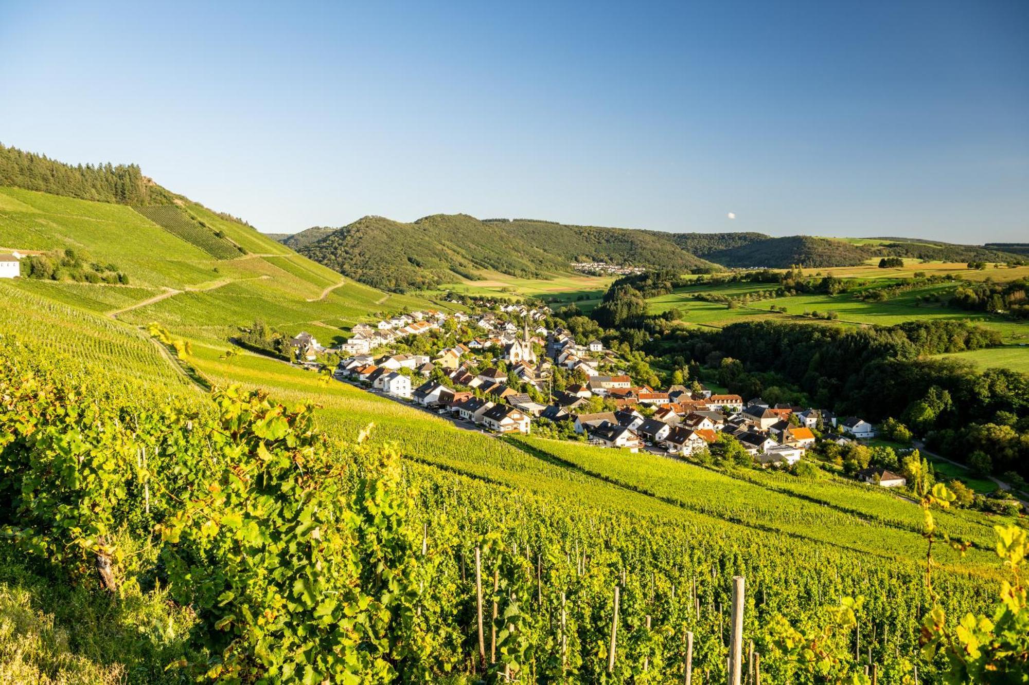 Weinhotel Restaurant Klostermuehle Ockfen Экстерьер фото
