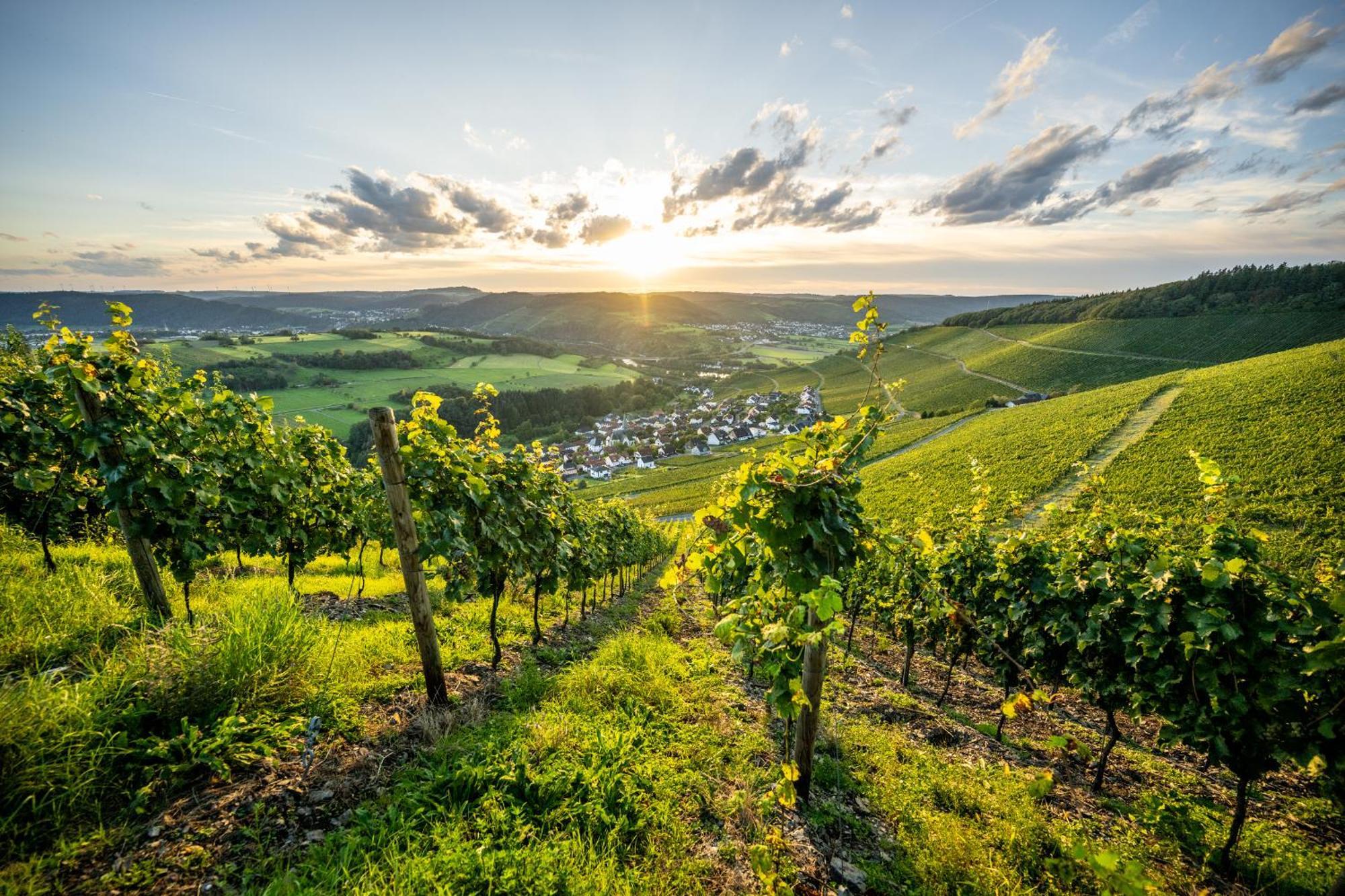 Weinhotel Restaurant Klostermuehle Ockfen Экстерьер фото